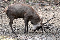 Boutissain D6 20-09-24 1587   Photo ACG