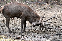 Boutissain D6 20-09-24 1597   Photo ACG