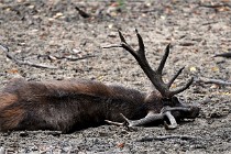 Boutissain D6 20-09-24 1610   Photo ACG