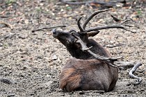 Boutissain D6 20-09-24 1619   Photo ACG