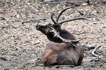 Boutissain D6 20-09-24 1622   Photo ACG