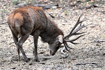 Boutissain D6 20-09-24 1630   Photo ACG