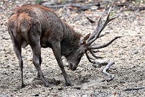 Boutissain D6 20-09-24 1636   Photo ACG