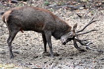 Boutissain D6 20-09-24 1649   Photo ACG