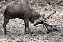 Boutissain D6 20-09-24 1655   Photo ACG