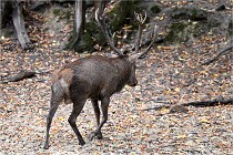 Boutissain D6 20-09-24 1669   Photo ACG