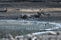 2020-09-21  24  Boutissaint