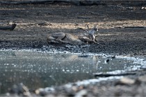 Boutissain D850 20-09-21 0002   Photos ACG 2020