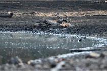 Boutissain D850 20-09-21 0003   Photos ACG 2020