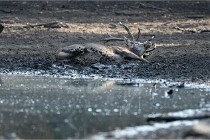 Boutissain D850 20-09-21 0004   Photos ACG 2020