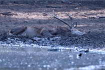 Boutissain D850 20-09-21 0009   Photos ACG 2020