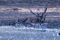 Boutissain D850 20-09-21 0010   Photos ACG 2020