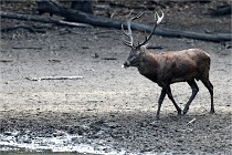 Boutissain D850 20-09-22 0028   Photos ACG 2020