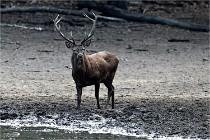 Boutissain D850 20-09-22 0032   Photos ACG 2020