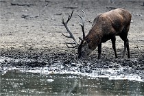 Boutissain D850 20-09-22 0036   Photos ACG 2020