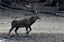 Boutissain D850 20-09-22 0045   Photos ACG 2020