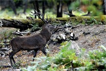 Boutissain D850 20-09-22 0064   Photos ACG 2020