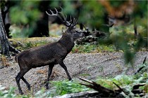 Boutissain D850 20-09-22 0070   Photos ACG 2020