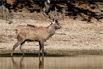 Boutissain D850 20-09-22 0078   Photos ACG 2020