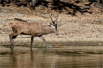 Boutissain D850 20-09-22 0092   Photos ACG 2020