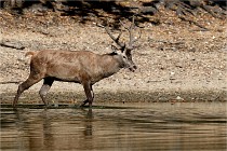 Boutissain D850 20-09-22 0095   Photos ACG 2020