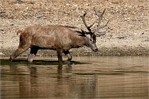 Boutissain D850 20-09-22 0100   Photos ACG 2020