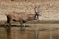 Boutissain D850 20-09-22 0104   Photos ACG 2020