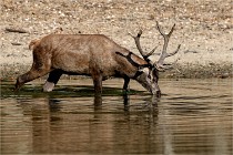 Boutissain D850 20-09-22 0108   Photos ACG 2020