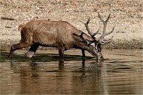 Boutissain D850 20-09-22 0109   Photos ACG 2020