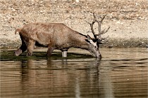 Boutissain D850 20-09-22 0111   Photos ACG 2020