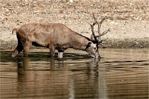 Boutissain D850 20-09-22 0113   Photos ACG 2020