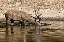 Boutissain D850 20-09-22 0118   Photos ACG 2020