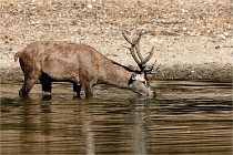 Boutissain D850 20-09-22 0133   Photos ACG 2020