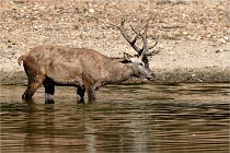 Boutissain D850 20-09-22 0134   Photos ACG 2020