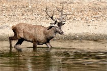 Boutissain D850 20-09-22 0142   Photos ACG 2020