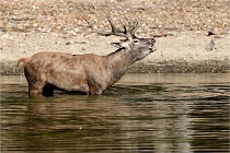 Boutissain D850 20-09-22 0151   Photos ACG 2020