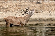 Boutissain D850 20-09-22 0156   Photos ACG 2020