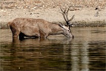 Boutissain D850 20-09-22 0169   Photos ACG 2020