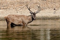 Boutissain D850 20-09-22 0177   Photos ACG 2020