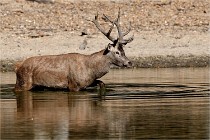 Boutissain D850 20-09-22 0197   Photos ACG 2020