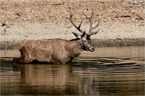 Boutissain D850 20-09-22 0201   Photos ACG 2020