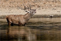 Boutissain D850 20-09-22 0208   Photos ACG 2020