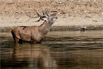 Boutissain D850 20-09-22 0211   Photos ACG 2020