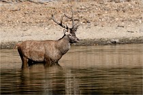 Boutissain D850 20-09-22 0222   Photos ACG 2020