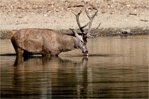 Boutissain D850 20-09-22 0232   Photos ACG 2020