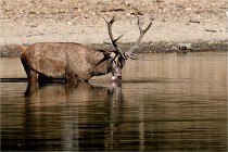 Boutissain D850 20-09-22 0236   Photos ACG 2020