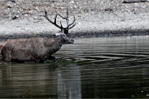 Boutissain D850 20-09-22 0279   Photos ACG 2020