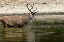 Boutissain D850 20-09-22 0285   Photos ACG 2020