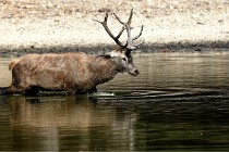 Boutissain D850 20-09-22 0292   Photos ACG 2020