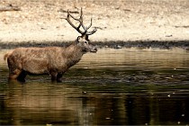 Boutissain D850 20-09-22 0298   Photos ACG 2020